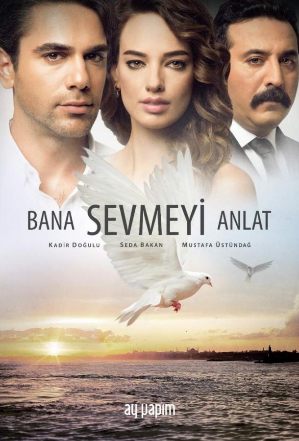 Постер к Научи меня любить (1 сезон)