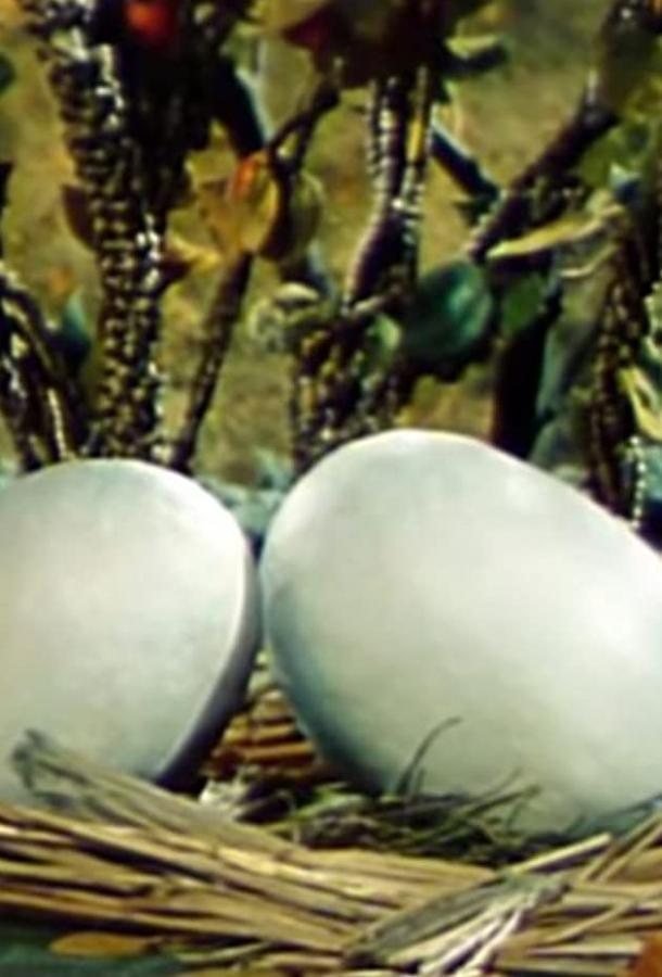 Постер к Два справедливых цыпленка (ТВ) (1984)