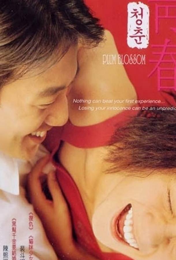 Постер к Сливовый цвет (2000)